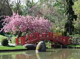 Jardin Japonais